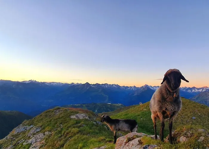 Apartament Haus Marchegg