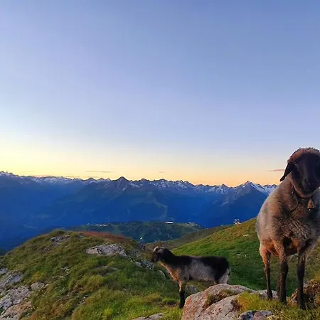 Apartment Haus Marchegg